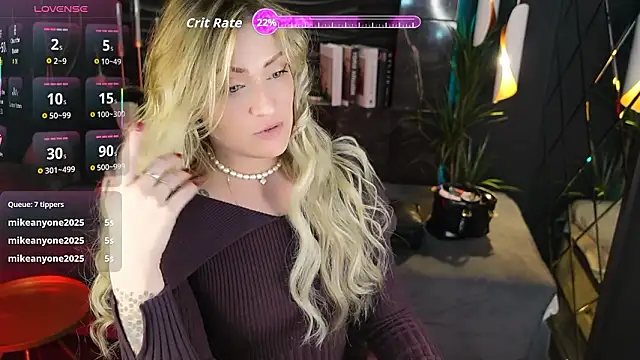 AugustineMagnetic webcam