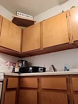 ReallyReallyReal webcam