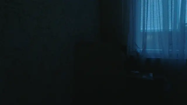 DolphinDreams webcam