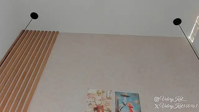 Valerykat_ webcam