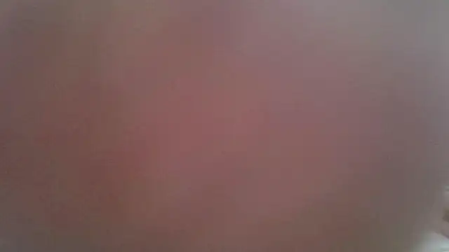 melody_gepards webcam