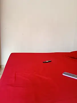 LEIRIS_Y_FRED_01 webcam