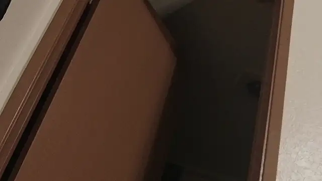 Preview of slammydjr