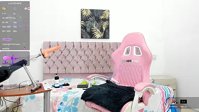 paris_laurens webcam