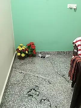 shanu_shah (F mature) - #anal #anal-doggy-style #anal-fingering #anal-indian #anal-masturbation #anal-mature #ass-to-mouth #best #best-mature #big-ass #big-ass-anal #big-ass-doggy-style #big-ass-indian #big-ass-mature #black-hair #black-hair-mature #cam2cam #cheapest-privates #cheapest-privates-best #cheapest-privates-indian #cheapest-privates-mature #cowgirl #curvy #curvy-indian #curvy-mature #dirty-talk #doggy-style #erotic-dance #fingering #fingering-indian #flashing #glamour #hd #indian #interactive-toys #interactive-toys-mature #lovense #masturbation #masturbation-mature #mature #mobile #mobile-mature #most-affordable-cam2cam #oil-show #orgasm #orgasm-mature #recordable-privates #recordable-privates-mature #recordable-publics #role-play #sexting #shower #small-audience #squirt #squirt-indian #squirt-mature #straight #striptease #striptease-indian #trimmed #trimmed-indian