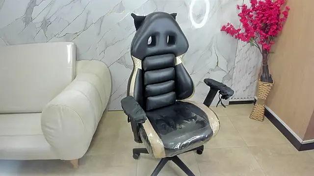 rox_luxury_tf webcam