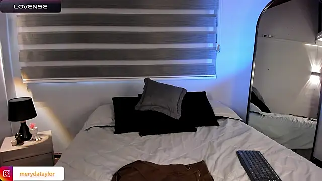 MERIDA_TAYLOR webcam
