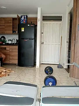 LEIRIS_Y_FRED_01 webcam