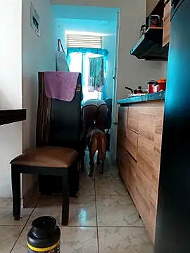 LEIRIS_Y_FRED_01 webcam