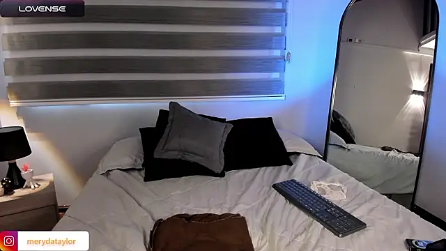 MERIDA_TAYLOR webcam