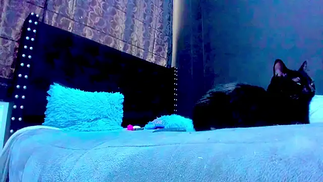 amareto_queen webcam