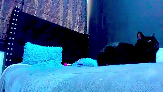 amareto_queen webcam