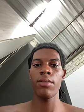 KingBlack25cm webcam