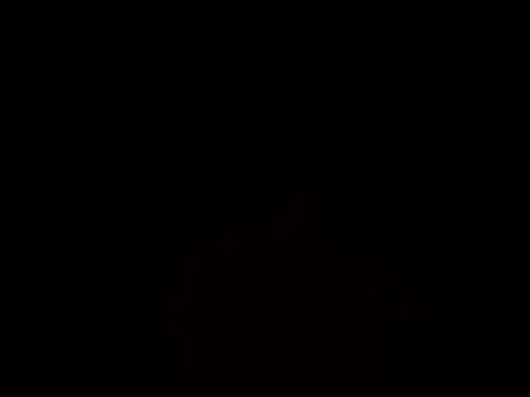 nolimitBackdoorman webcam