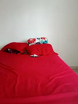 LEIRIS_Y_FRED_01 webcam