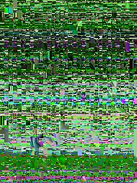 Vanesa_novvoa webcam