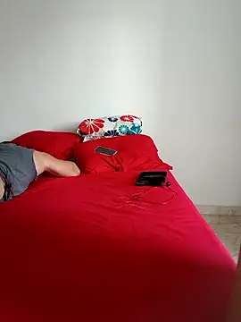 LEIRIS_Y_FRED_01 webcam