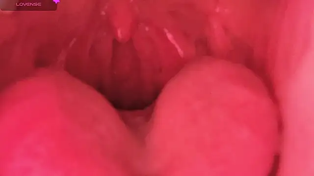 美女LT-333在线直播