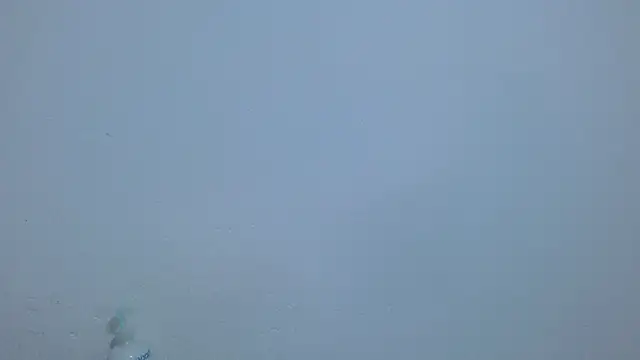 isabel_24_gil webcam