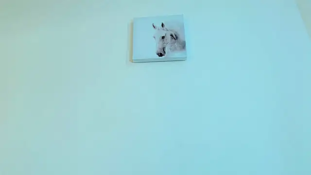 king_falconer webcam