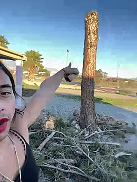 TranSexualJade95 webcam