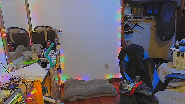 Buffshagswell webcam