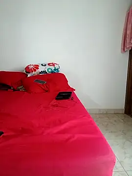 LEIRIS_Y_FRED_01 webcam