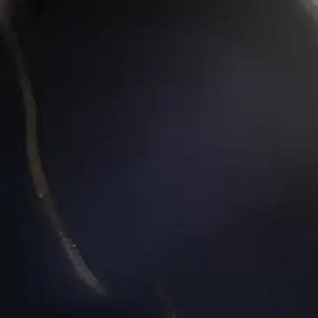 Francesca_ferrari webcam