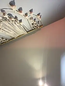 Irish_Collins webcam