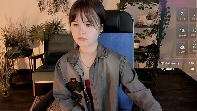 Elainebeness webcam