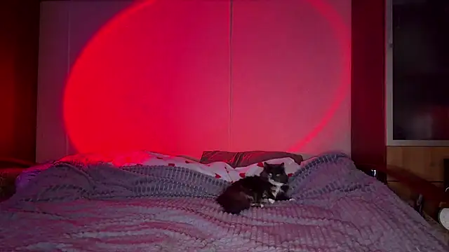 zoradearmon - ZoraDearmon's free webcam - UK Sex Cams