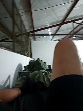 MonasticCanine webcam