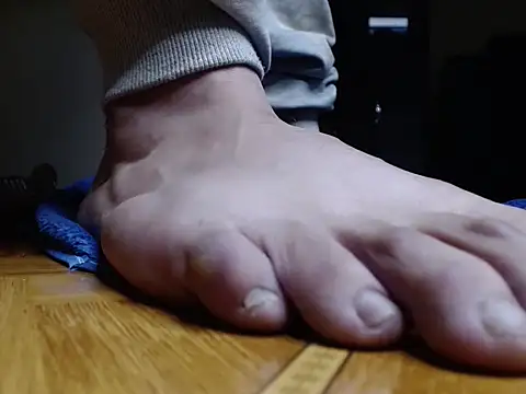 alphaswitchard webcam