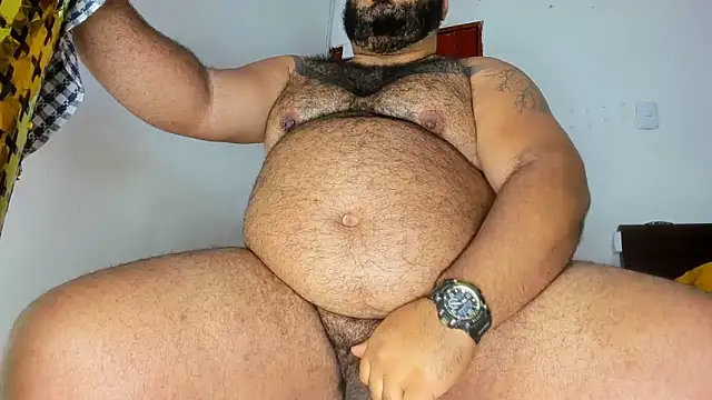Bearspigdirty webcam