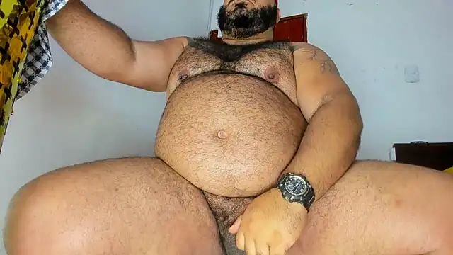 Bearspigdirty webcam
