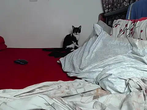 Whimsicalwillow webcam