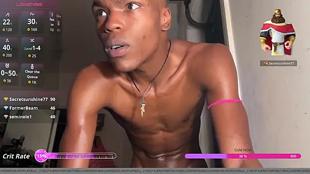 BullHorse23LIVE Live Webcam on Stripchat