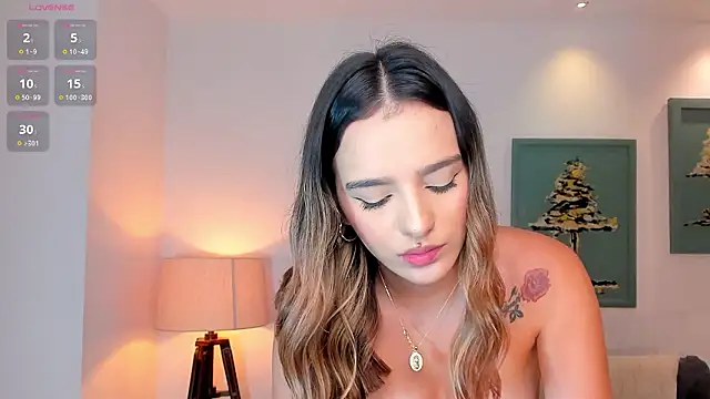 LaurentRosse1 webcam