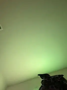 damnbubbles - DamnBubbles's free webcam