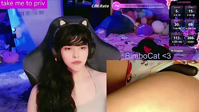 BimboCat webcam