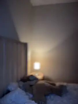 _celeste__moore webcam