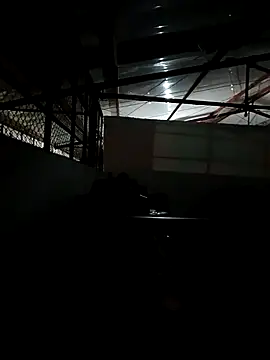 MonasticCanine webcam