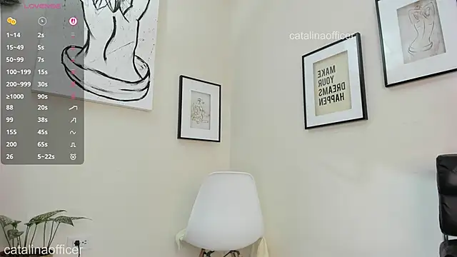 catalinaofficer webcam