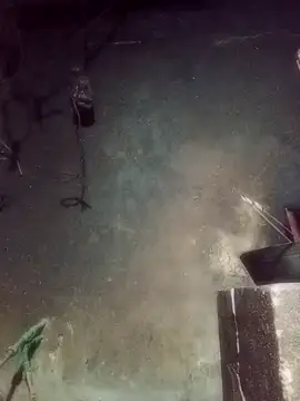 hoa-tuylip (F teen) - Hãy giúp tôi