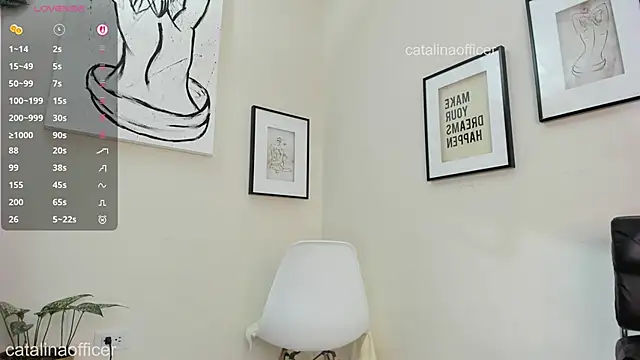 catalinaofficer webcam