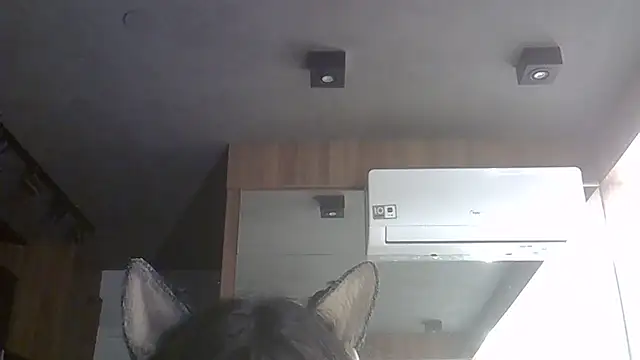 SkinnyKitten webcam