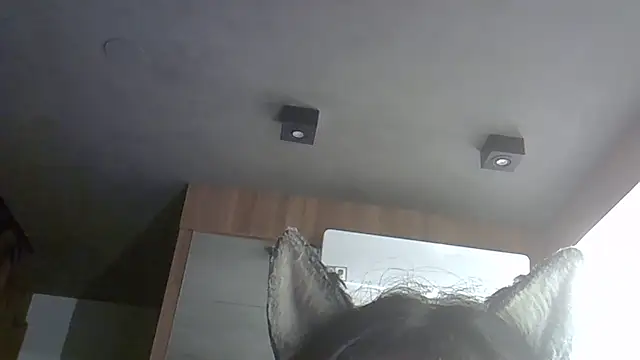 SkinnyKitten webcam