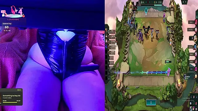 baileymonarch webcam