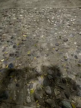 Datoka_adrenaline webcam