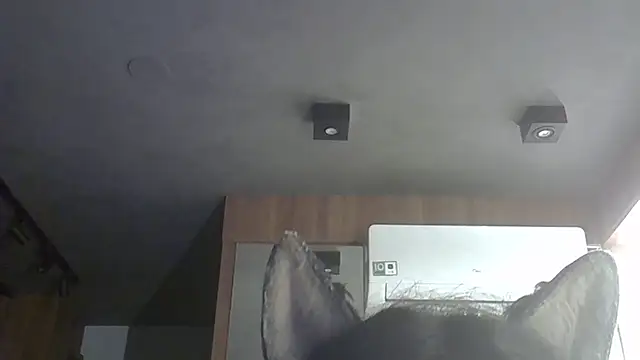 SkinnyKitten webcam